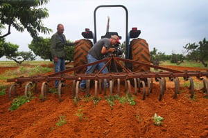 Vogel Tractors and Orchard