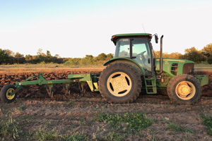 Vogel Tractors and Orchard
