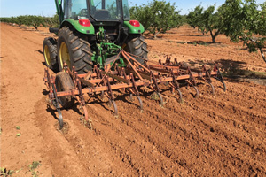 Vogel Tractors and Orchard